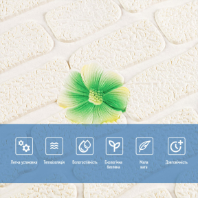 hover image