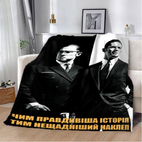 Плед 3D мотиваційний Правдива історія 2754_B 12858 135х160 см